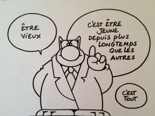 vieux-chat.jpg