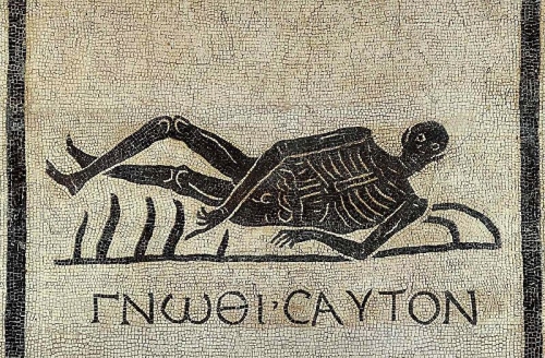 800px-Roman-mosaic-know-thyself.jpg