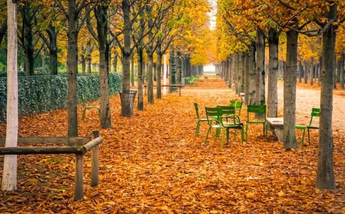 jardin-des-tuileries-automne.jpg