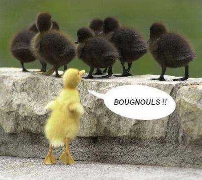 bougnouls.jpg
