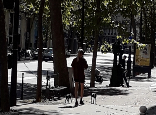 mimétisme canin.jpg